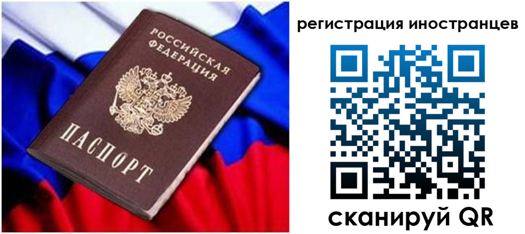 прописка для школы в Куровском